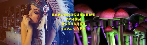 молекула духа Алзамай