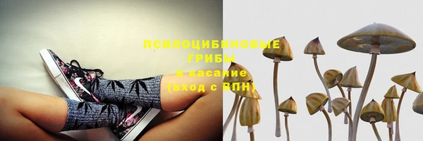 трава Алексеевка