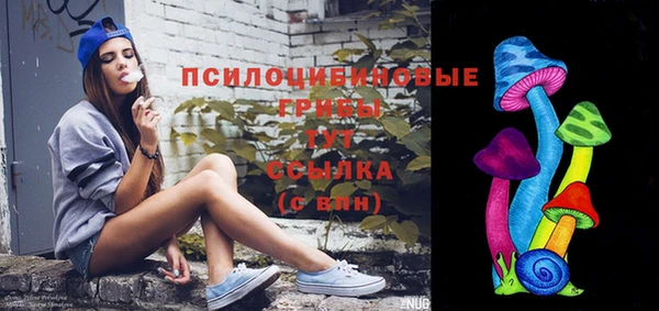 молекула духа Алзамай