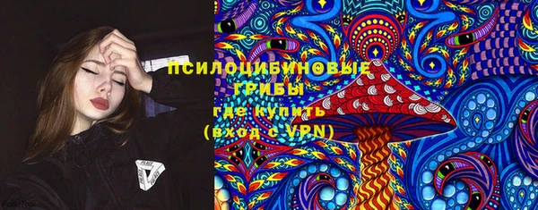 спайс Алексин